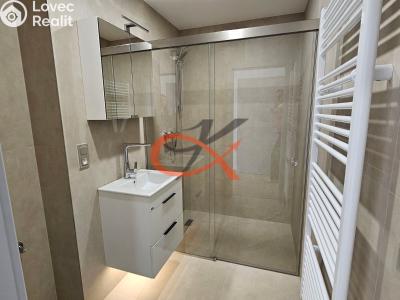 Rent apartment 3+KK Šenov u Nového Jičína, Jeremenkova 227 č. 1