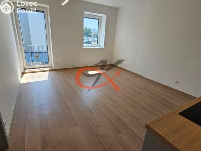 Rent apartment 3+KK Šenov u Nového Jičína, Jeremenkova 227 č. 7