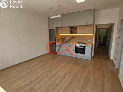Rent apartment 3+KK Šenov u Nového Jičína, Jeremenkova 227 č. 8