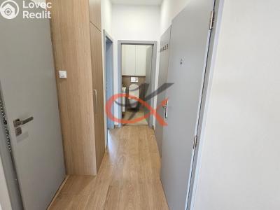 Rent apartment 3+KK Šenov u Nového Jičína, Jeremenkova 227 č. 10