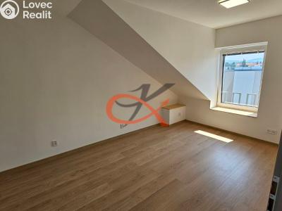 Rent atypical apartment Šenov u Nového Jičína, Jeremenkova 227 č. 14