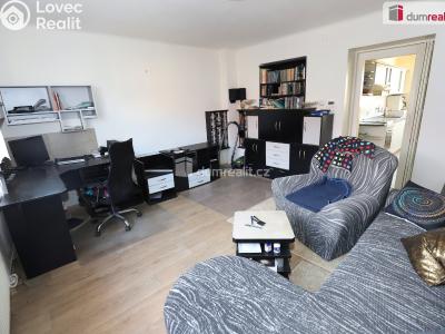 Prodej bytu 2+1 Dobřany, Stromořadí č. 1