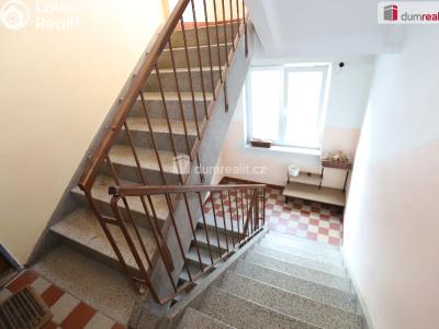 Prodej bytu 2+1 Dobřany, Stromořadí č. 14