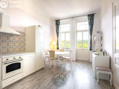 Sale apartment 3+1 Karlovy Vary, Varšavská č. 1