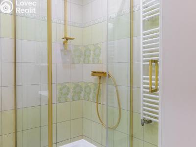 Sale apartment 3+1 Karlovy Vary, Varšavská č. 13