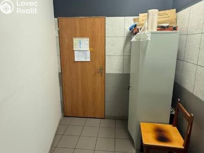 Pronájem výrobní haly Beroun, V Plzeňské bráně č. 4