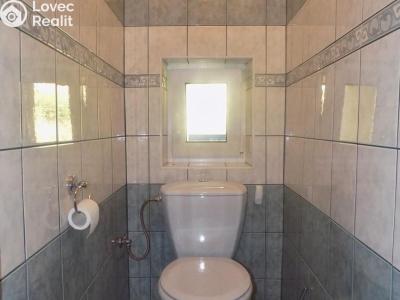 Prodej rodinného domu Děčín, Družstevní č. 20
