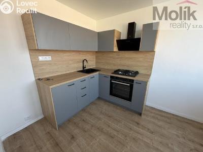 Rent apartment 3+1 Most, Česká č. 3