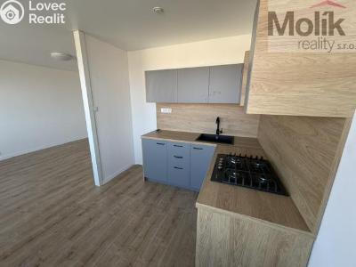 Rent apartment 3+1 Most, Česká č. 4