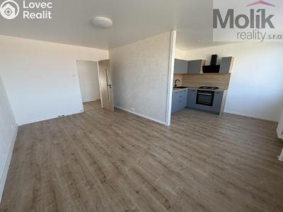 Rent apartment 3+1 Most, Česká č. 5