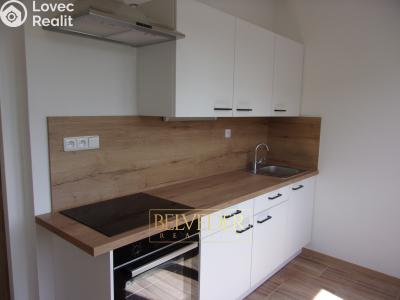 Rent apartment 2+1 Teplice, Stará Duchcovská č. 9