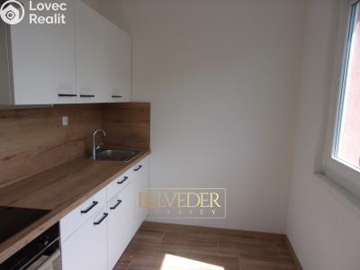 Rent apartment 2+1 Teplice, Stará Duchcovská č. 1