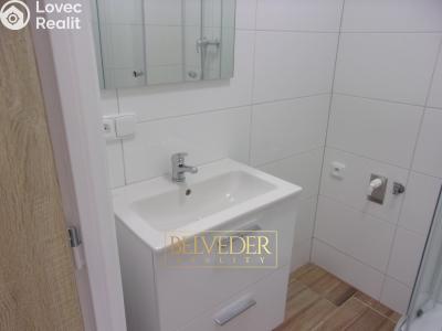 Rent apartment 2+1 Teplice, Stará Duchcovská č. 8