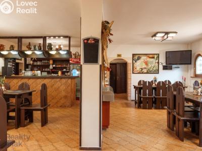 Prodej restaurace Dolní Dunajovice, Hlavní 555 č. 8