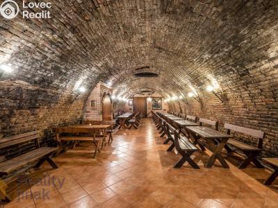 Prodej restaurace Dolní Dunajovice, Hlavní 555 č. 16
