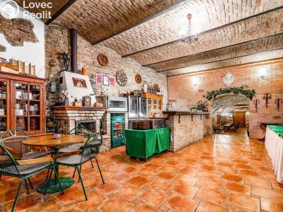 Prodej restaurace Dolní Dunajovice, Hlavní 555 č. 20
