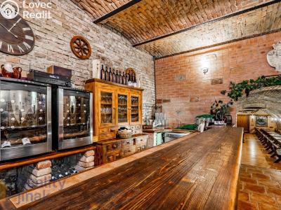 Prodej restaurace Dolní Dunajovice, Hlavní 555 č. 21