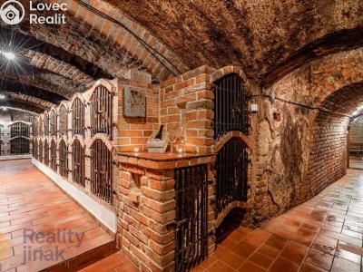Prodej restaurace Dolní Dunajovice, Hlavní 555 č. 23