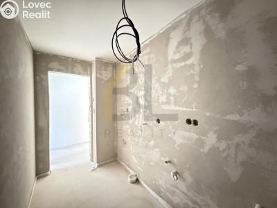 Продаж сімейного будинку Dolní Bojanovice, Žabácká 51 č. 8
