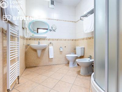 Rent apartment 3+KK Teplice, U Nových lázní 3270 č. 8