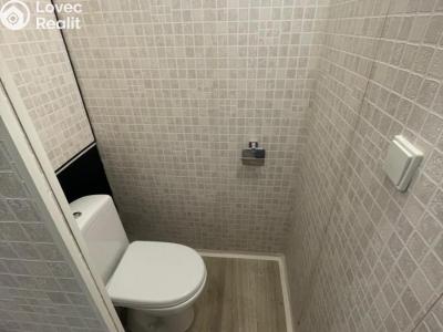 Pronájem bytu 2+KK Bílina, Mírová 340 č. 14
