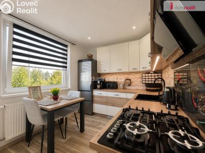 Продаж квартири 3+1 Sokolov, Sportovní č. 3