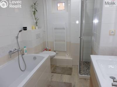 Pronájem bytu 2+1 Litvínov, Podkrušnohorská 787 č. 5