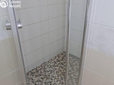 Pronájem bytu 2+1 Litvínov, Podkrušnohorská 787 č. 8