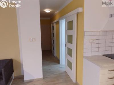 Pronájem bytu 2+1 Litvínov, Podkrušnohorská 787 č. 10