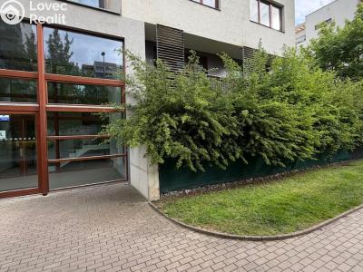 Pronájem bytu 3+KK Praha, Nad Smetankou č. 11