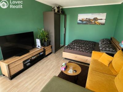 Prodej bytu 1+1 České Budějovice, K. Šafáře č. 1