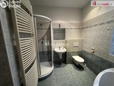 Pronájem komerční nemovitosti Pardubice, Na Okrouhlíku č. 15
