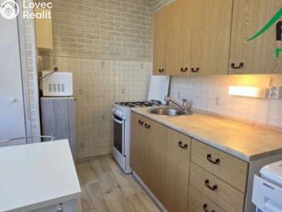 Rent apartment 3+1 Tachov, Školní č. 1