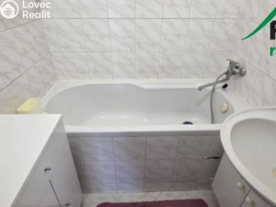 Rent apartment 3+1 Tachov, Školní č. 7