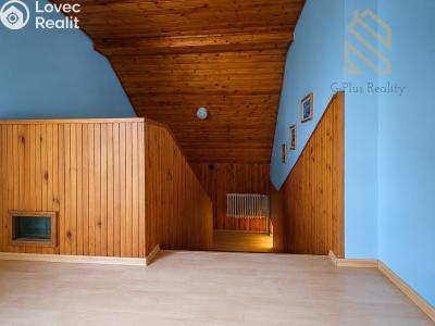 Prodej rodinného domu Děčín, Požární 133 č. 4