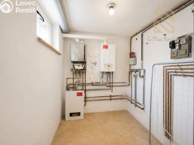 Prodej rodinného domu Děčín, Požární 133 č. 28