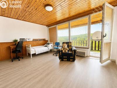 Prodej rodinného domu Děčín, Požární 133 č. 47