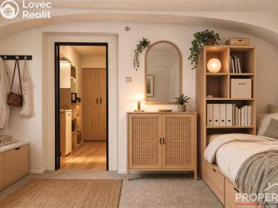 Продаж нестандартної квартири Praha, Arbesovo náměstí č. 3