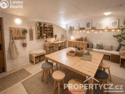 Продаж нестандартної квартири Praha, Arbesovo náměstí č. 6
