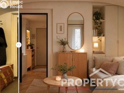 Продаж нестандартної квартири Praha, Arbesovo náměstí č. 21