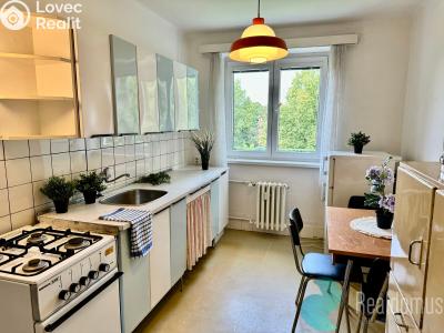 Оренда квартири 2+1 České Budějovice, Nerudova č. 1
