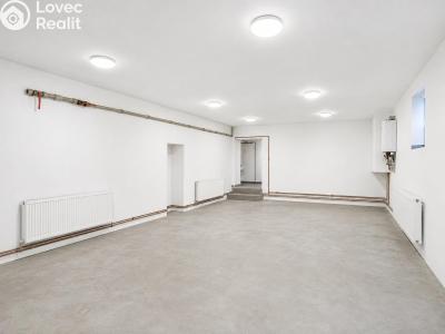 Pronájem skladového prostoru Strančice, Průmyslová 62 č. 2