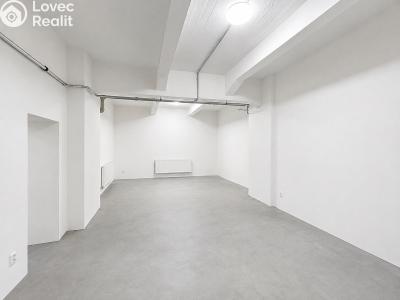 Pronájem skladového prostoru Strančice, Průmyslová 62 č. 3
