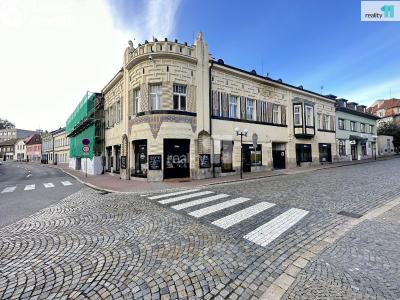 Pronájem komerční nemovitosti Pelhřimov, Tylova č. 13