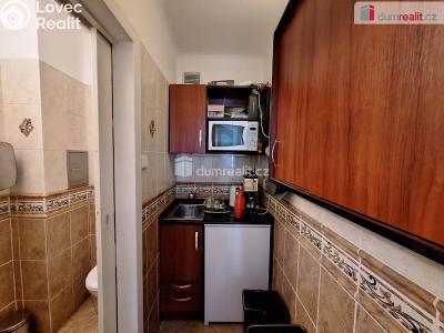 Pronájem kanceláře Praha 6, Bubenečská č. 5