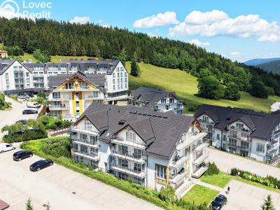 Prodej apartmánů Dolní Morava č. 8