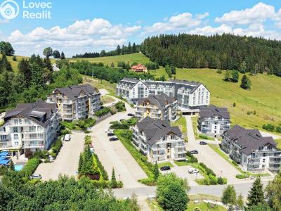 Prodej apartmánů Dolní Morava č. 10