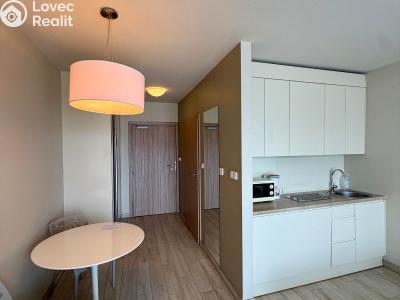Prodej apartmánů Dolní Morava č. 4