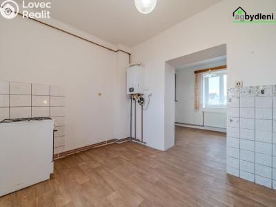 Prodej rodinného domu Trpísty č. 8