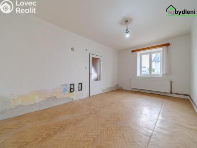 Prodej rodinného domu Trpísty č. 11